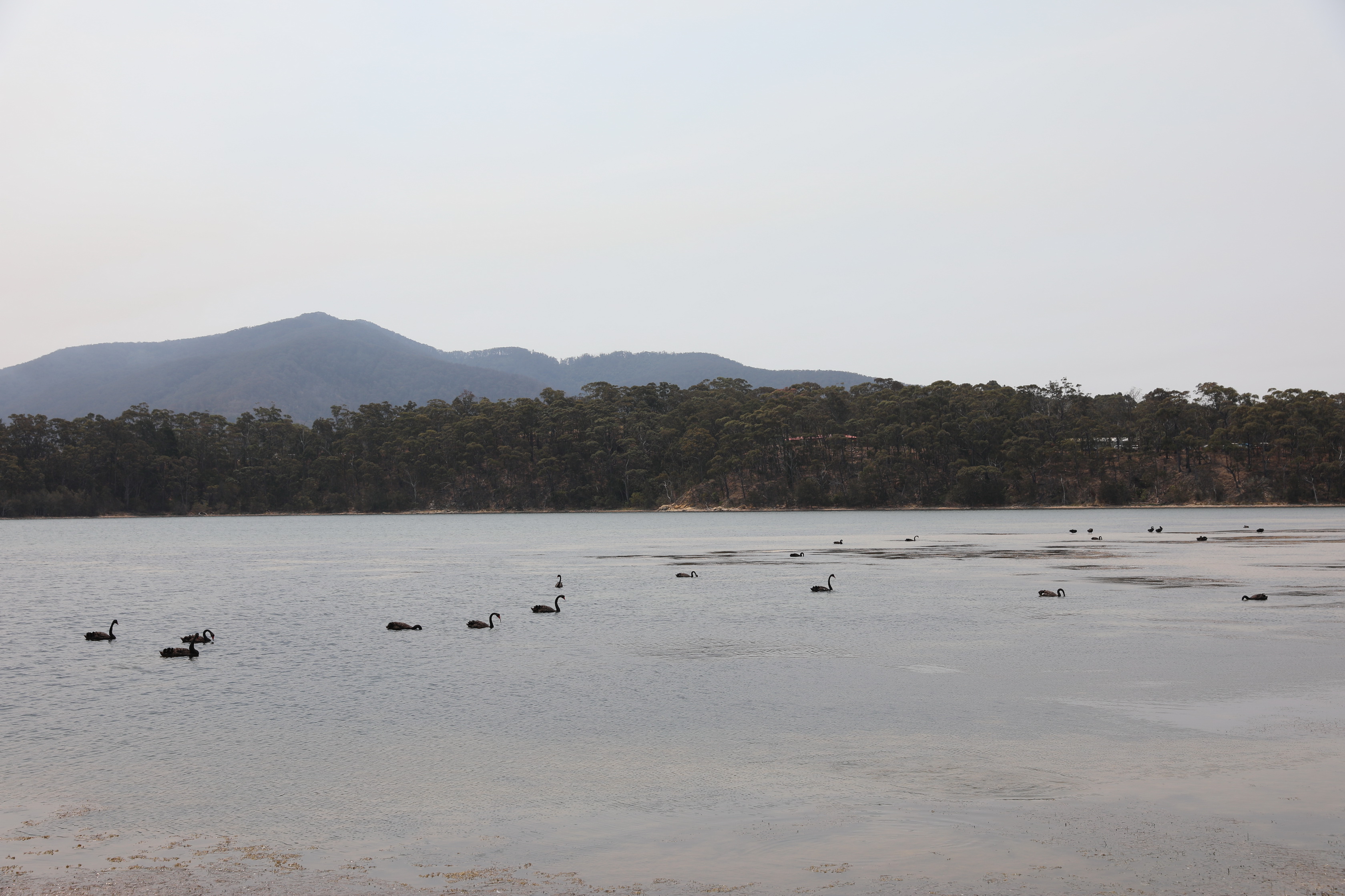 2019 12 27 14 20 59 Canon EOS 5D Mark IV 0016